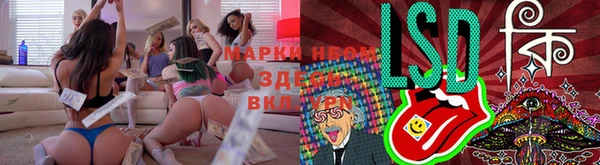 a pvp Каменногорск