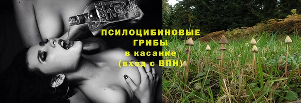 шишки Киреевск