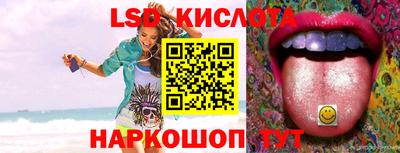крисы Боровичи