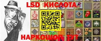 крисы Боровичи