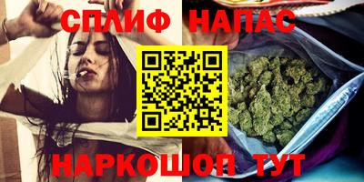 крисы Боровичи