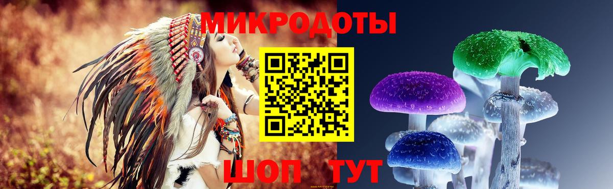 Псилоцибиновые грибы Psilocybe Реутов