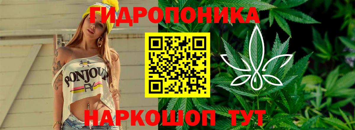 Марихуана Bruce Banner  Вход с VPN  МАРИХУАНА гибрид  Реутов  МАРИХУАНА VHQ  Марихуана тримм 